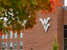 A silver flying WV on the Applied Human Science Building sits in the background with a tree and its fall foliage is in the foreground.