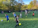 Young children kicking soccer balls on playing field.